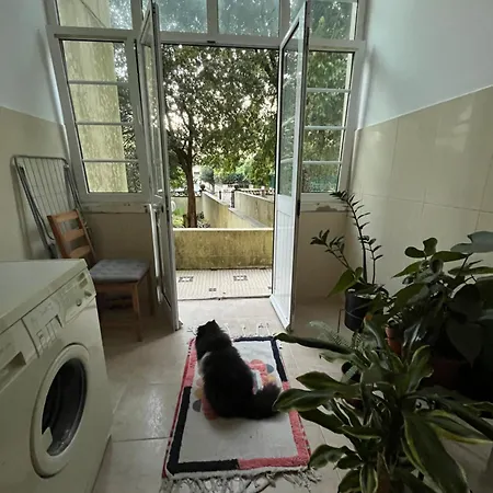 Apartamento комната с двуспальной кроватью в уютных апартаментах